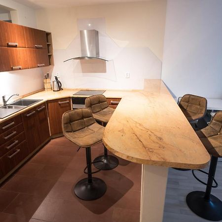 Apartment Vodni With Parking Брно Экстерьер фото